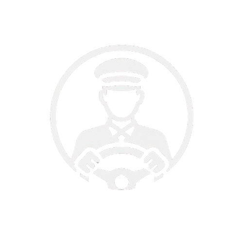Icon 8